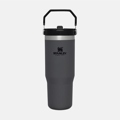 THE ICEFLOW FLIP STRAW TUMBLER | 0.89 L כוס עם קשית